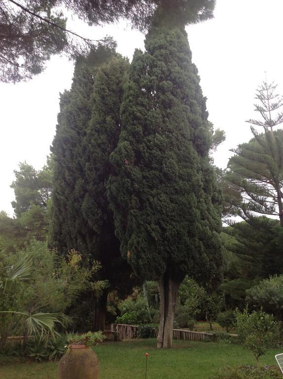 Ai Cipressi Bed & Breakfast Salemi Exterior foto